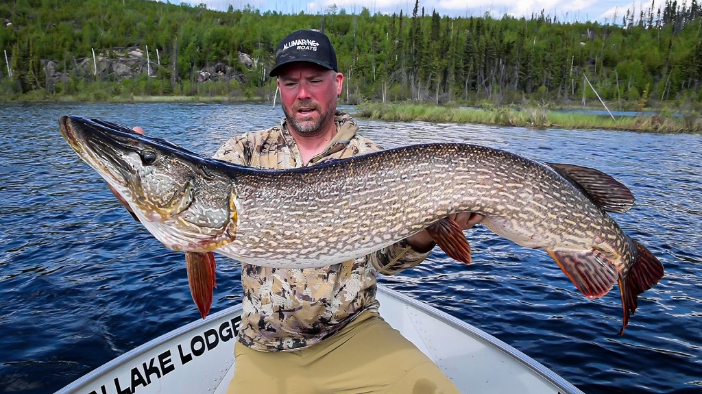 Tazin Lake Lodge - Northern pike